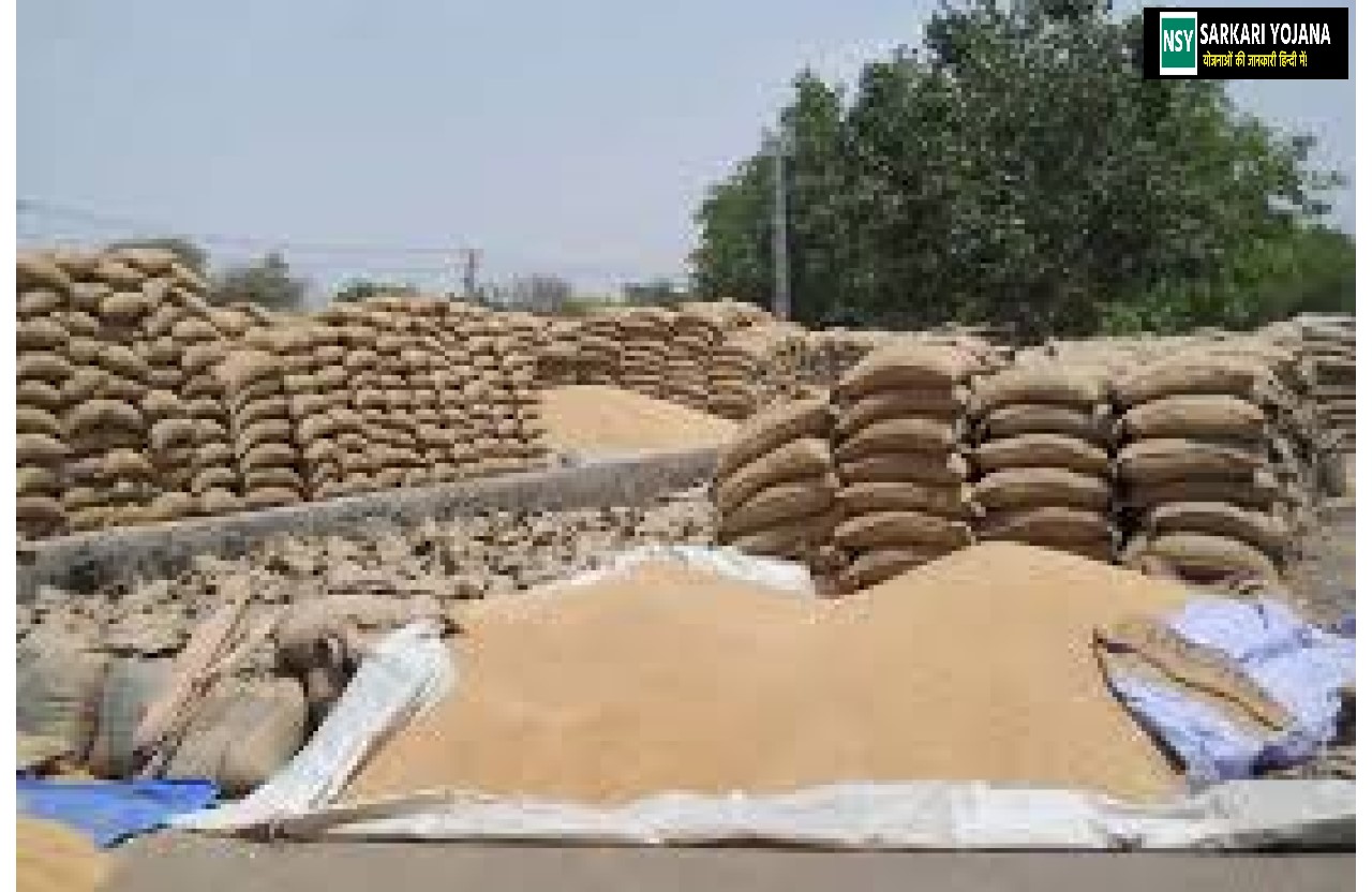 योजना:सरकार एक लाख रुपये तक की अनाज स्टोरेज सब्सिडी देगी: ऐसे करें आवेदन